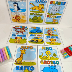 Fichas Conceitos